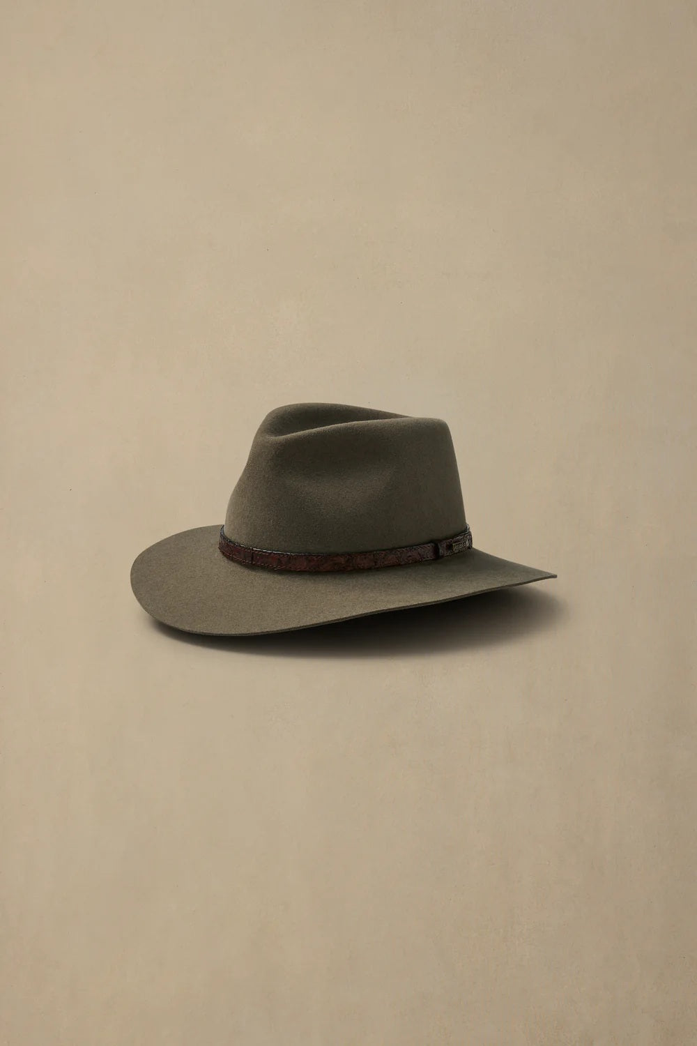 Banjo Paterson [c:heritage Fawn Size:55]