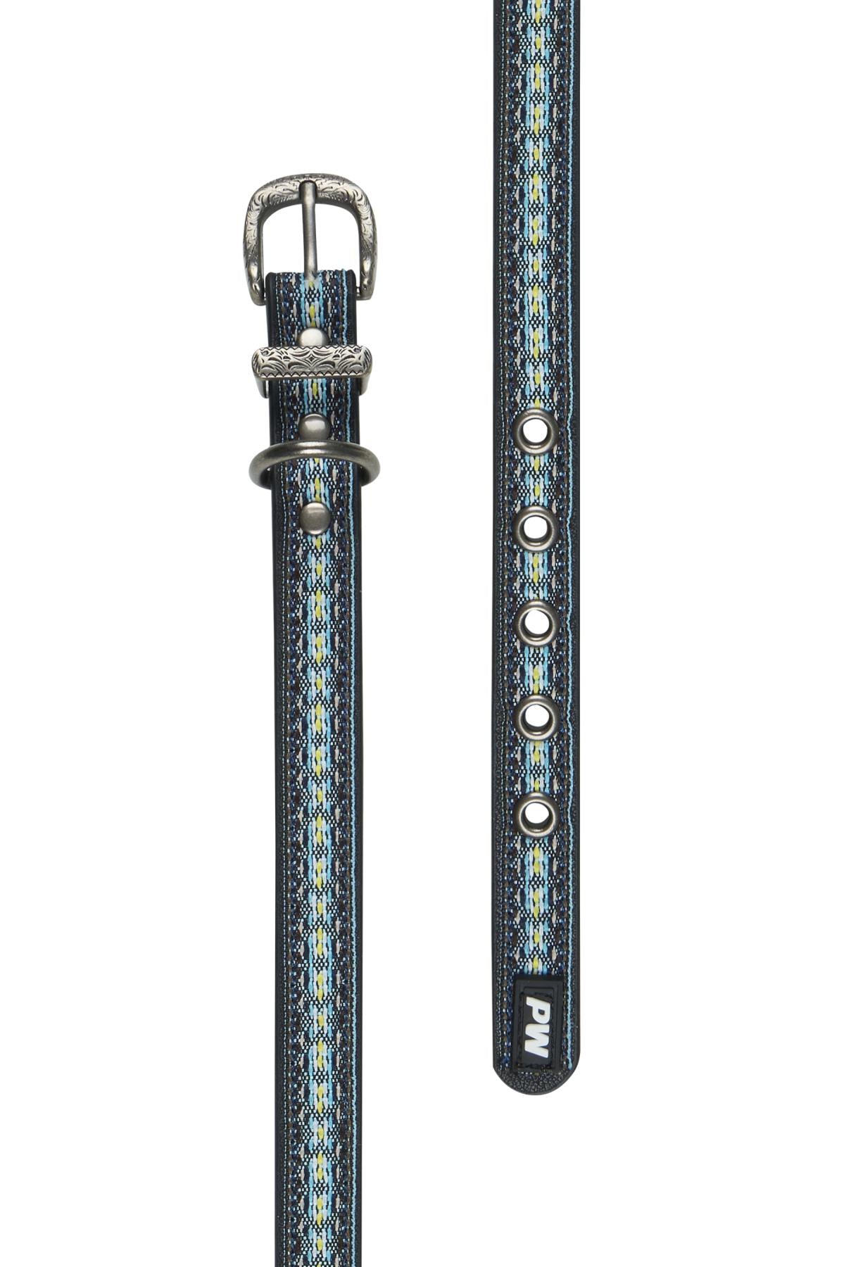 Cosmo Dog Collar 3